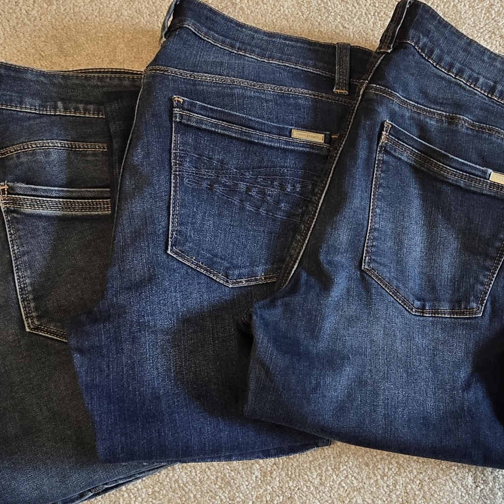 WHBM Denim Collection